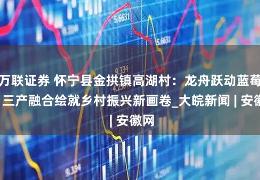 万联证券 怀宁县金拱镇高湖村：龙舟跃动蓝莓香  三产融合绘就乡村振兴新画卷_大皖新闻 | 安徽网